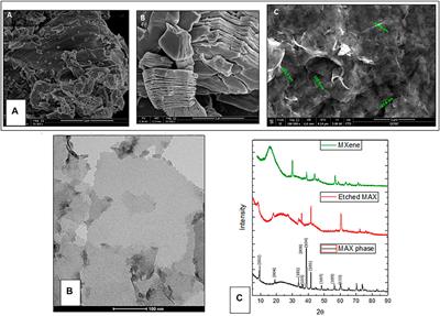 Characterization of MXene as a Cancer Photothermal Agent Under Physiological Conditions